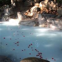 牛奶溫泉洗浴設(shè)備